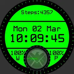 S.H.I.E.L.D Spy Watch