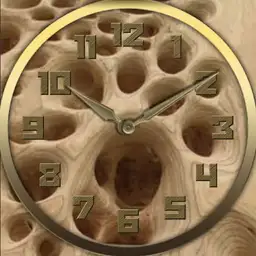 Wooden Hollows