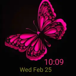 butterfly 2