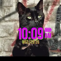 Meow Bitch