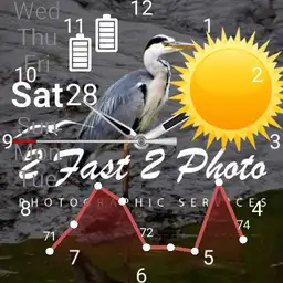 heron