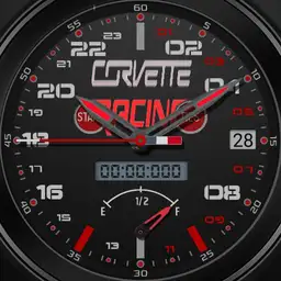 01-corvette racing-dim