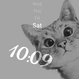 Cute Cat