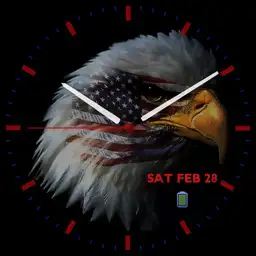 USA Bald Eagle face