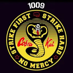Cobra Kai Copy