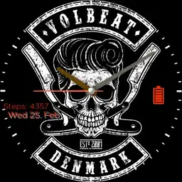 Volbeat 2 sho