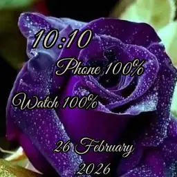 single purple rose by geri