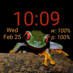 cjb frog