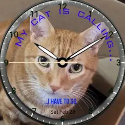 Cat calling