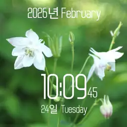 lee-watch001