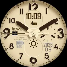 ticwatch