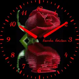 Roses for Lucy 2