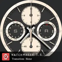 Transitions Watch