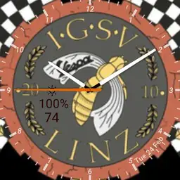 I.G.S.V. Linz BIG