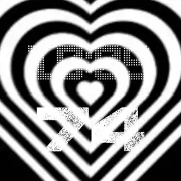 Flash Black White Dual