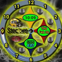 Go Steelers