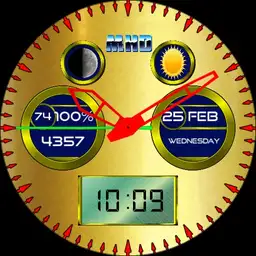 Gold Watch