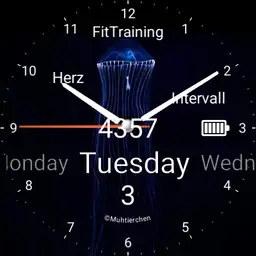 blueYellyFishTraining