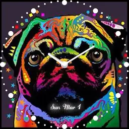 colorful pug