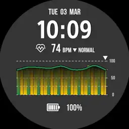 Heart Rate Monitor Watch PULSEMASTER by DNB Colours