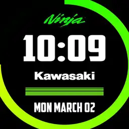 Kawasaki Ninja - Nikunj