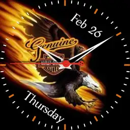 Harley Davidson Eagle Copy
