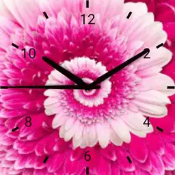 Pink Rotating Flower