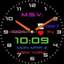 Msv 01