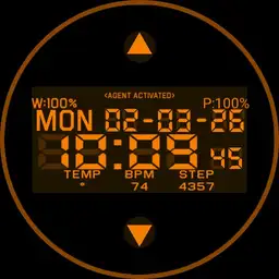 The division watchface Copy