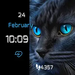 blue cat