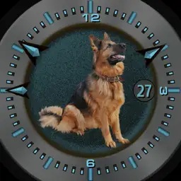 Dogged
