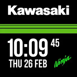 Kawasaki ninja watch