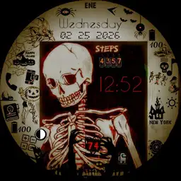 Skeleton C