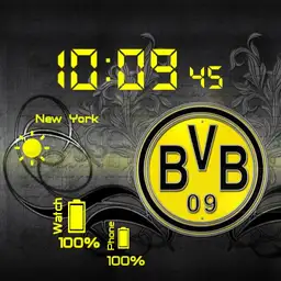 BVB digi