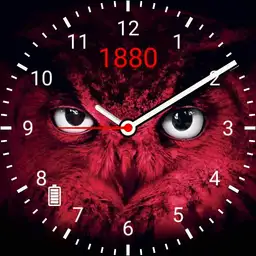rafc owl