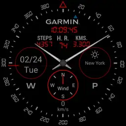 Garmin full info black Copy