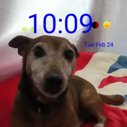 benji