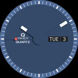 Q Timex 1975 Enigma Reissue Minimalistic Watch Colours
