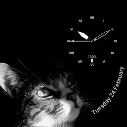 Starring Cat