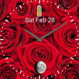 Moon and Roses