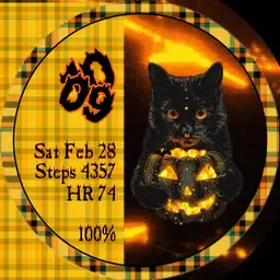Firey Black Halloween Cat