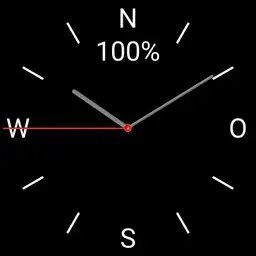 Rizzi112 Blanko Dual-Uhr rund dunkel