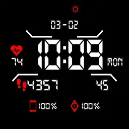 Ticwatch Pro 3 extention