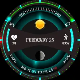 Swedish futurus watch face