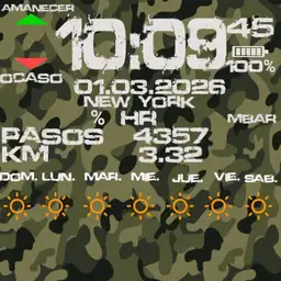 militar forecast