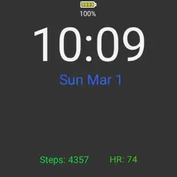 Info Watch Face