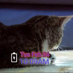 Samuel L. Catson