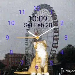 cat