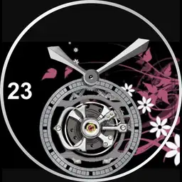 Tourbillon Simplicity V 2