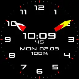 Griffin8020 Watch1